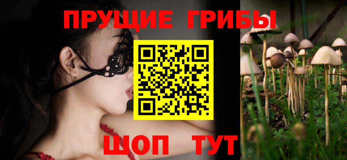 Псилоцибиновые грибы Psilocybine cubensis  Псилоцибиновые грибы мухоморы  где продают   Светлоград  Вход с VPN 