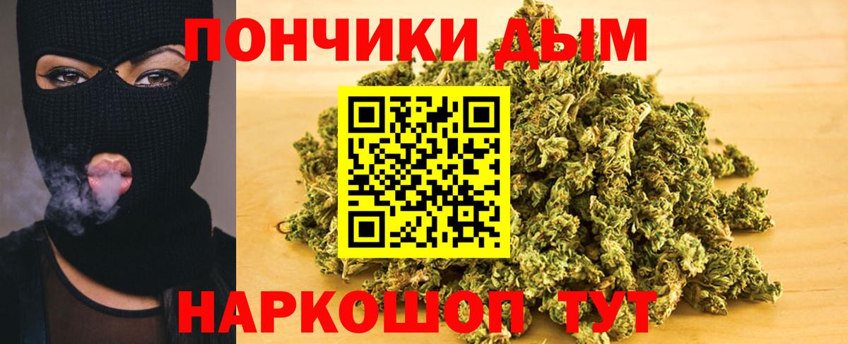 Каннабис план Светлоград
